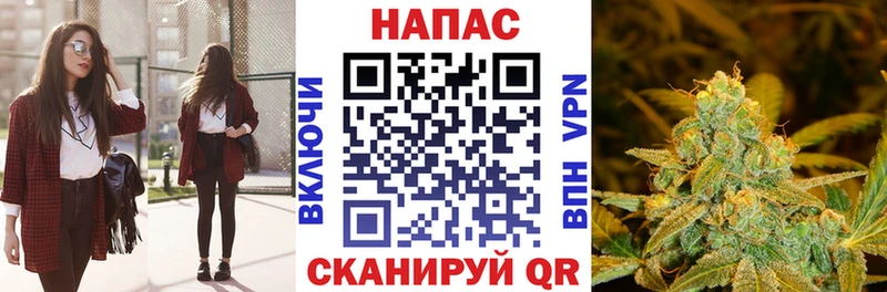 где купить наркоту  ссылка на мегу сайт  Каннабис семена  Зарайск 